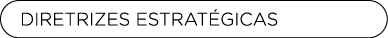 DIRETRIZES ESTRAT GICAS