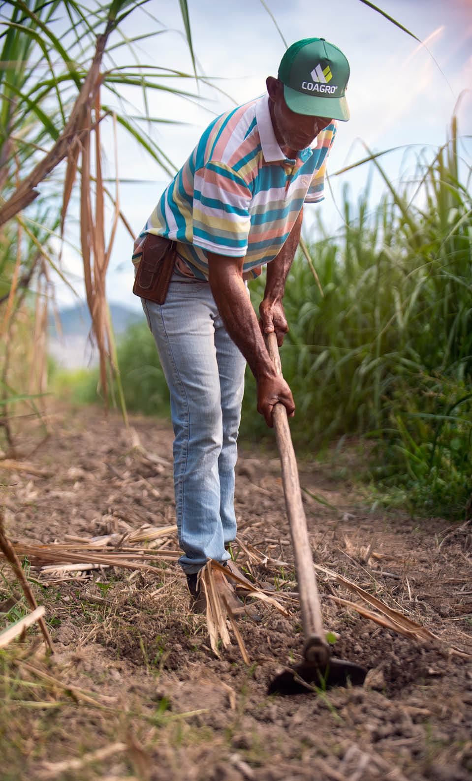 CAMPOS DOS GOYTACAZES_RJ 02 de Junho de 2025 OCB / COAGRO Na imagem, Joelson da Silva, lavrador parceiro da Coagro.  Imagem: Alexandre Rezende / NITRO Historias Visuais