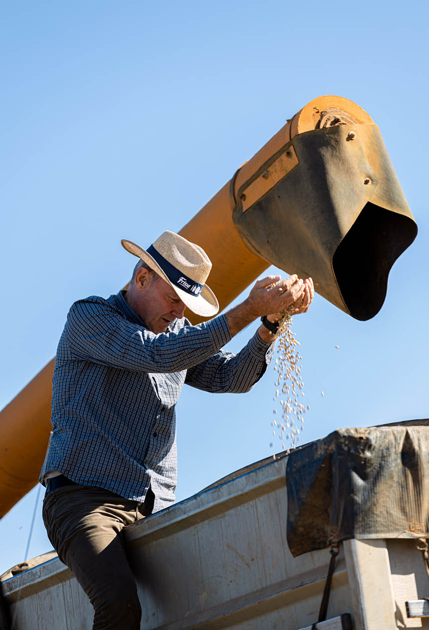 Carambe 02/06/2025, Cooperaddo da Cooperativa Fr sia. Agro. Renato Greidanus, cooperado.