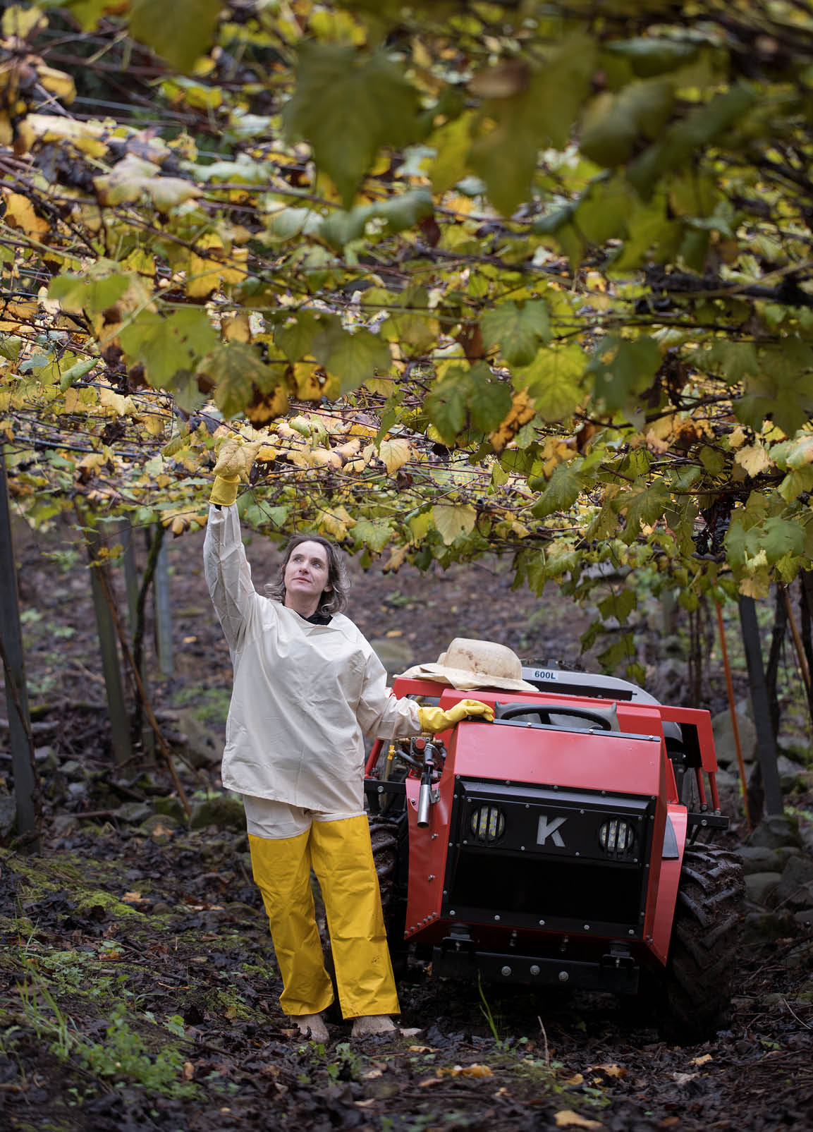Cooperativa Nova Alian a, Flores da Cunha RS. Gisele Boldrin Rossi. Cooperada.