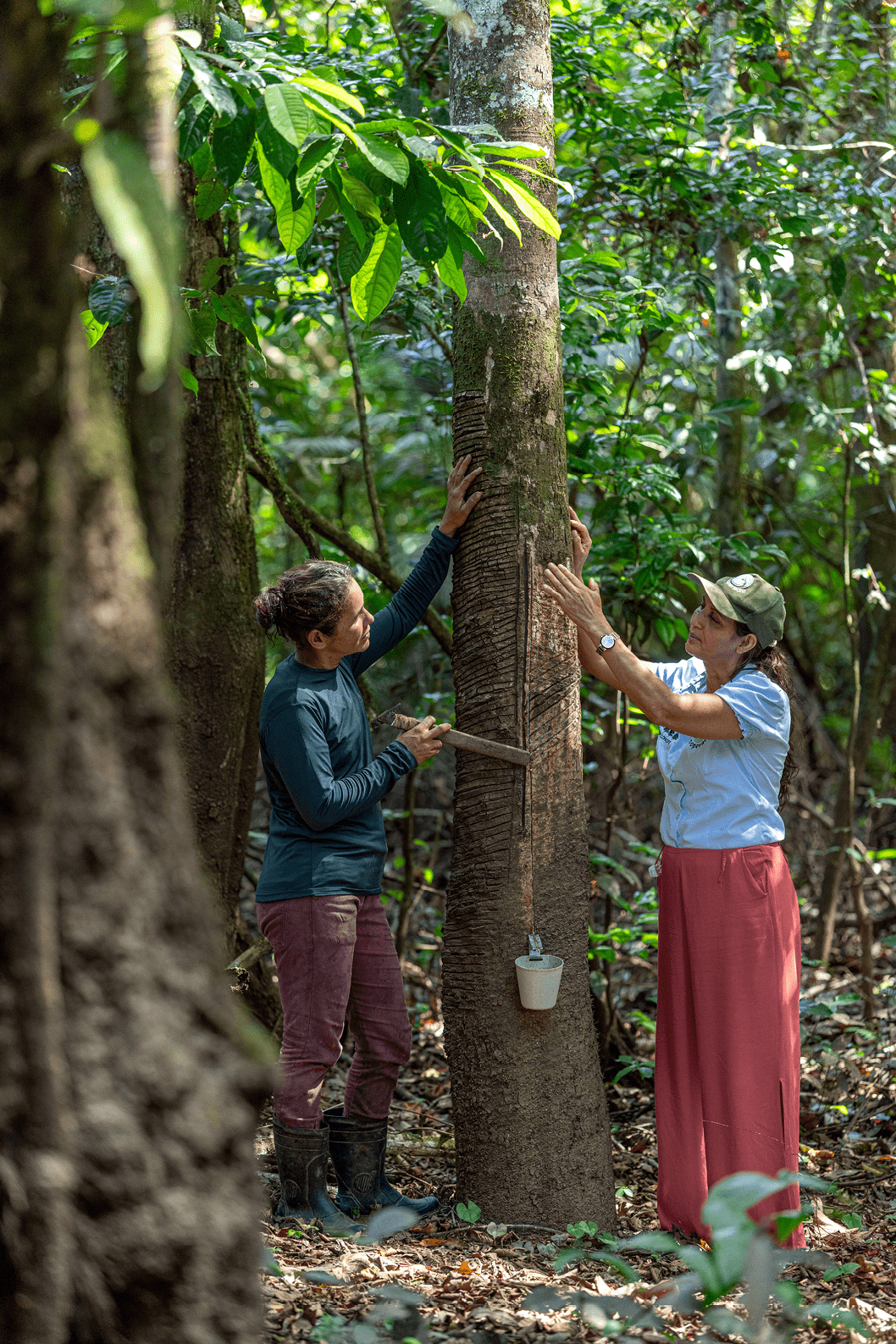 Capixaba_AC, 14 de junho de 2025  Foto: JOAO MARCOS ROSA/NITRO