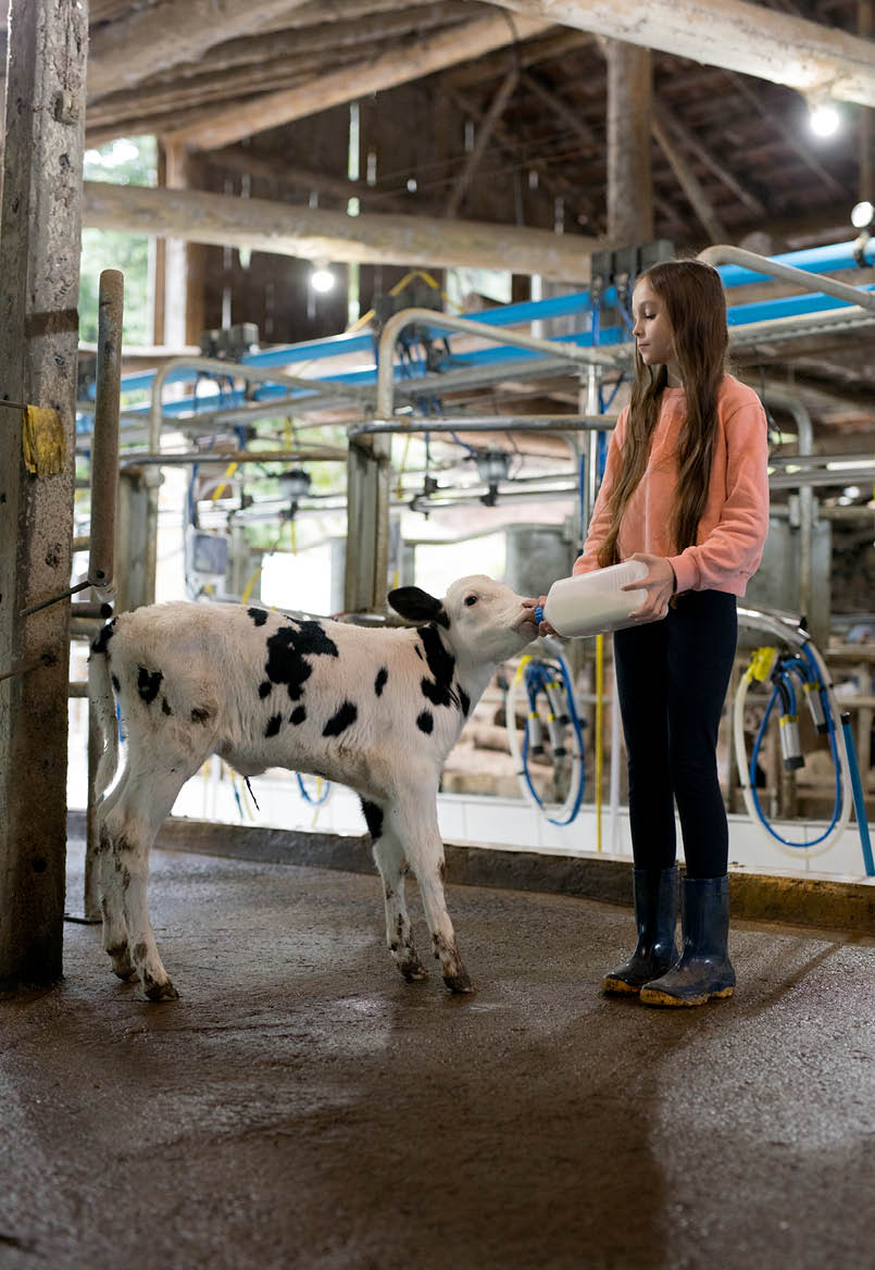 Faxinal do Soturno, 26/05/2025. Cooperativa Camnpal. Rudinei Severo, cooperado.