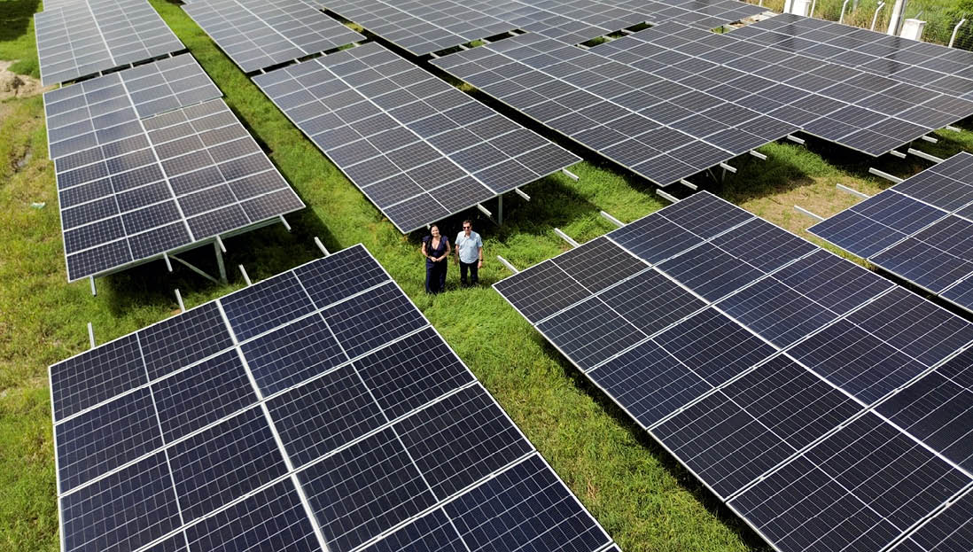 20250605BA - COOPSOLAR - Cooperativa de Energia Solar - Jo o Pessoa/PB - Na foto : Usina de Energia Solar na estrada h  50km de Jo o Pessoa.