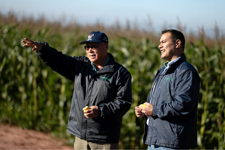 Navirai_MS, 11 de junho de 2025 OCB - COOPERATIVAS DO BRASIL: RETRATOS DE UM MUNDO MELHOR  Na imagem, Sukesada Takehara (e) um dos fundadores da cooperativa COPASUL e Moacyr Toshimitsu (d) Supervisor Comercial de Insumos da COPASUL.  Imagem: Douglas Magno / NITRO
