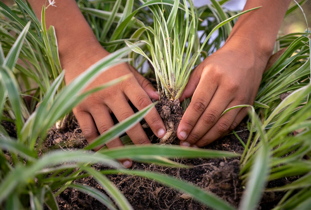BARRAS_PI 18 de Junho de 2025 OCB / COTEB Na imagem, alunos da professora Claudia Pinto Carvalho Ara jo - Professora, do Colegio Pratikus, durante visita ao Sitio Fidalgo, nos arredores do munic pio de Graja . No s tio foram recebidos por Maria da Concei  o Oliveira Cala a Ribeiro - Propriet ria. Imagem: Alexandre Rezende / NITRO Historias Visuais