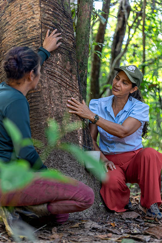 Capixaba_AC, 14 de junho de 2025  Foto: JOAO MARCOS ROSA/NITRO