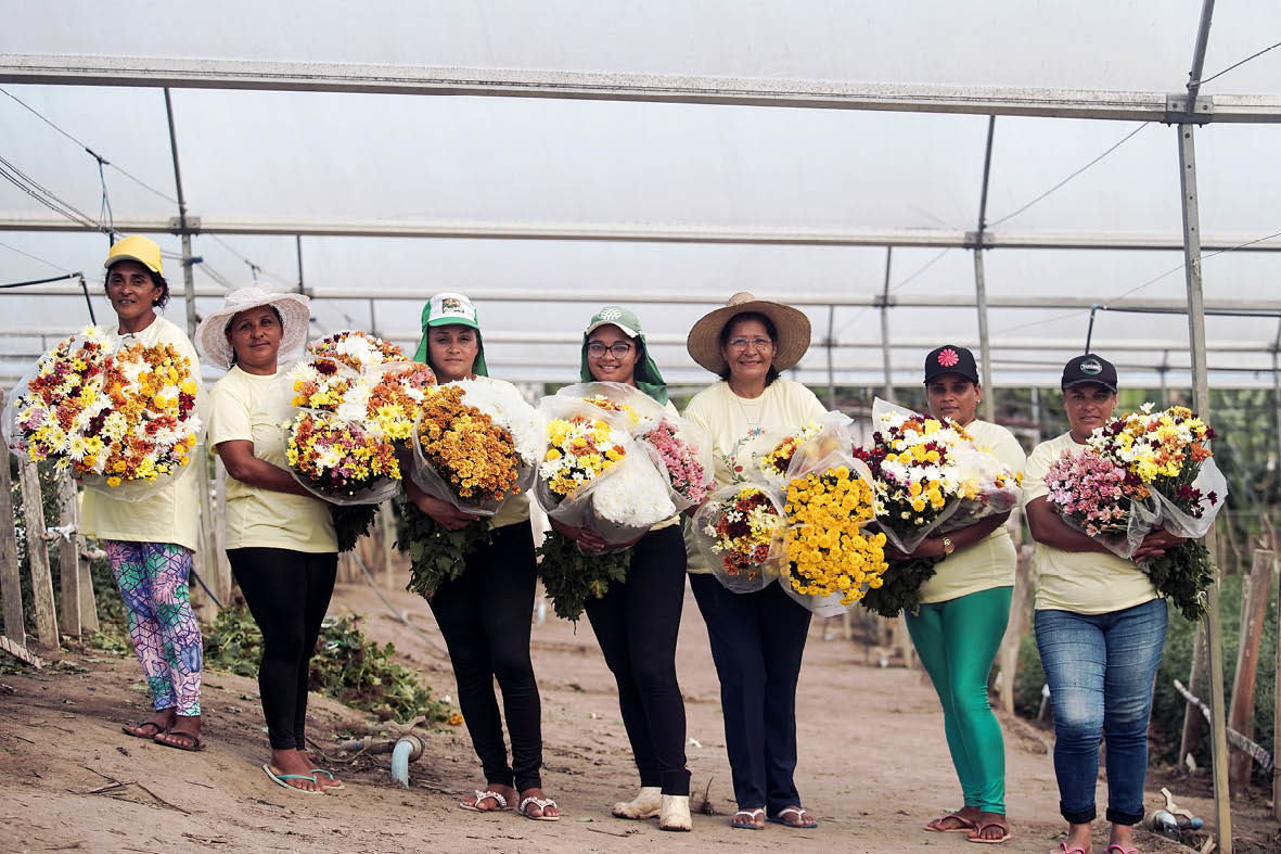 20250603, Pil es - PB - Cooperativa dos Floricultores do Estado da Para ba. Na foto :                 - 12 mulheres que trabalham juntas na COFEP e cultivam flores naturais.