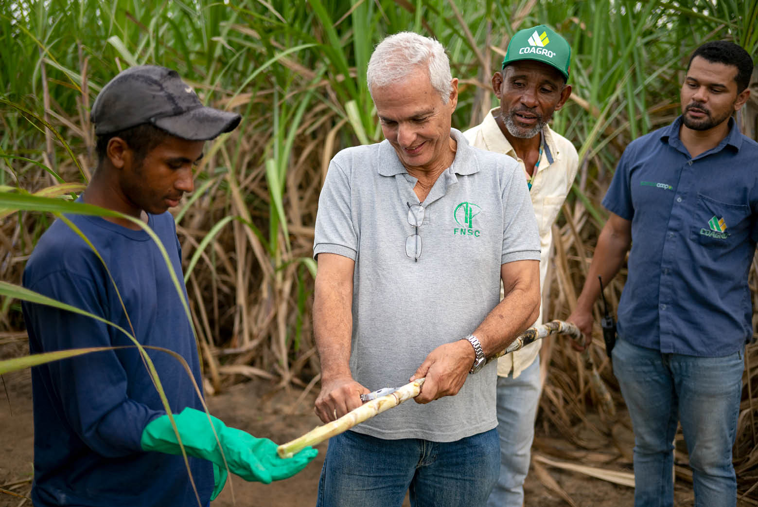 CAMPOS DOS GOYTACAZES_RJ 02 de Junho de 2025 OCB / COAGRO Na imagem, Jose Melky da Silva, funcionario de Carlos Frederico de Mendes, agricultor parceiro da Coagro e Joelson da Silva (esq. para dir). Imagem: Alexandre Rezende / NITRO Historias Visuais