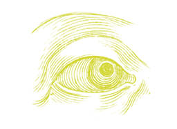 A drawing of a human eye. Description generated by AI