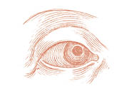A drawing of a human eye. Description generated by AI