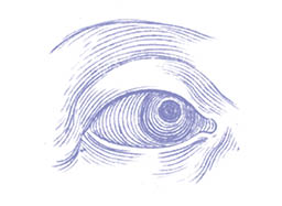 A drawing of a human eye. Description generated by AI