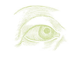 A drawing of a human eye. Description generated by AI