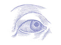 A drawing of a human eye. Description generated by AI