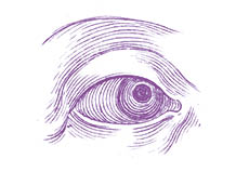A drawing of a human eye. Description generated by AI