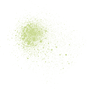 Polygon