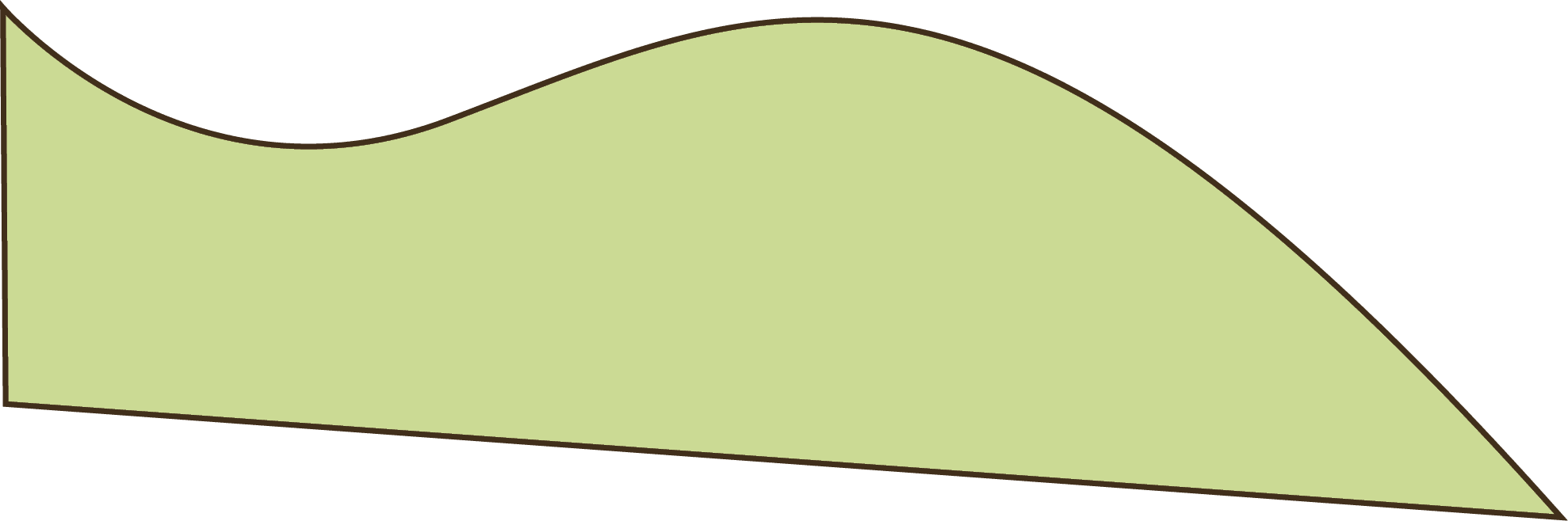 Polygon