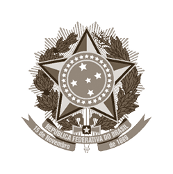 A brown and white star with a circle in the middle. Description generated by AI