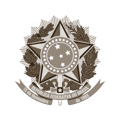 A brown and white star with a circle in the middle. Description generated by AI