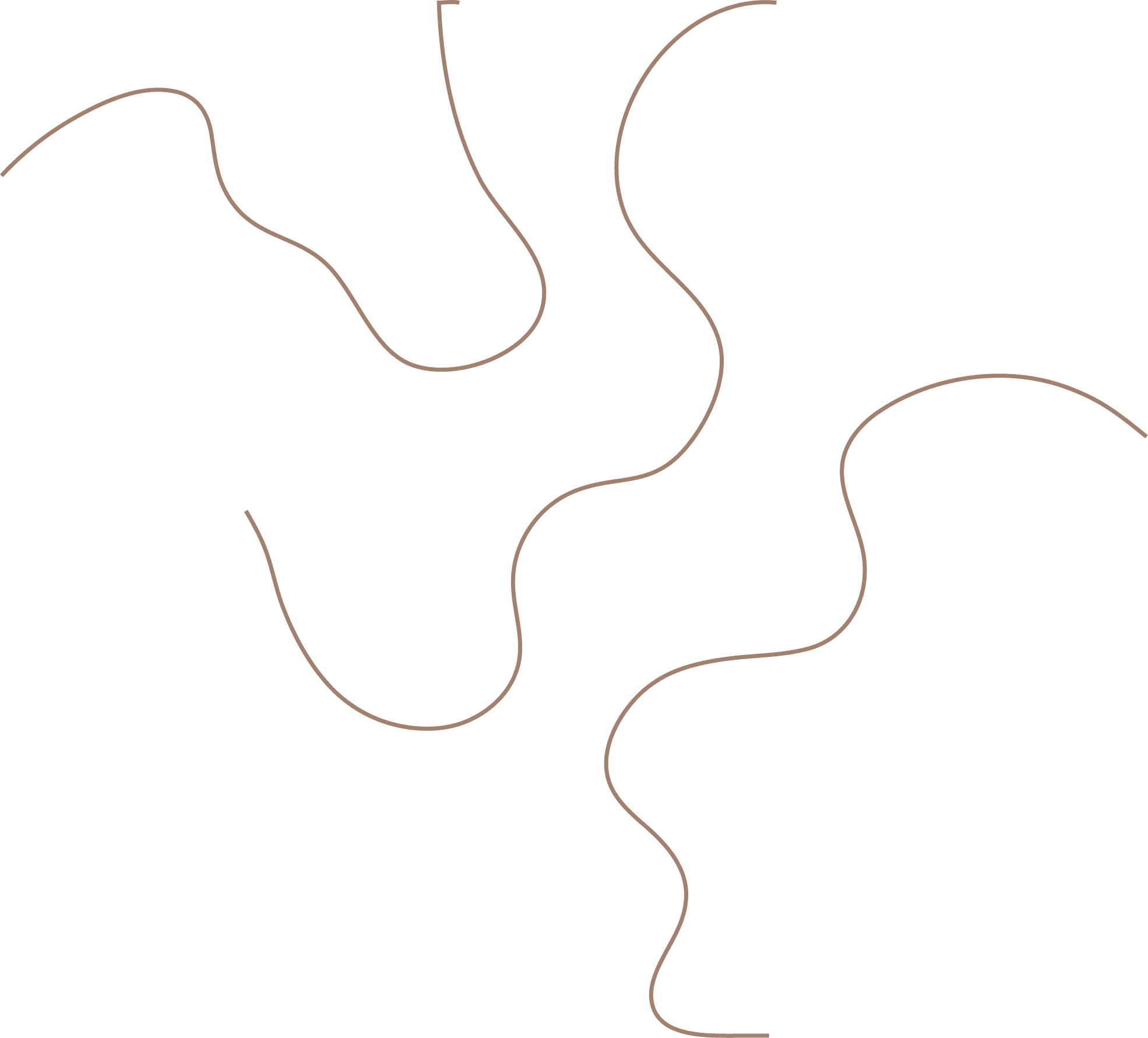 Polygon