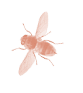 A purple bee with a black head. Description generated by AI