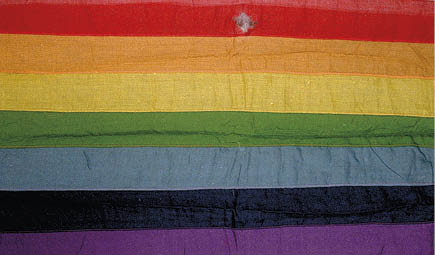 A fabric flag with horizontal stripes in red, orange, yellow, green, blue, dark blue, and purple colors. Description generated by AI