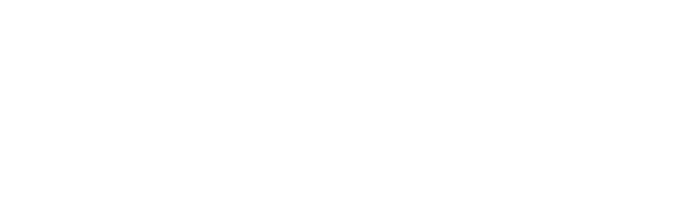 EM BUSCA DE RESULTADOS 