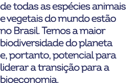 de todas as esp cies animais e vegetais do mundo est o no Brasil. Temos a maior biodiversidade do planeta e, portanto...