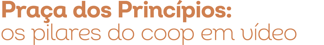 Pra a dos Princ pios: os pilares do coop em v deo