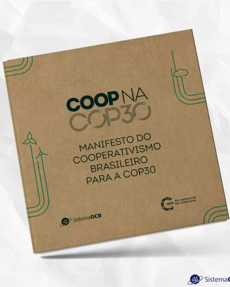 COP30 em pauta: cooperativismo paranaense alinha estratégias em webinar 