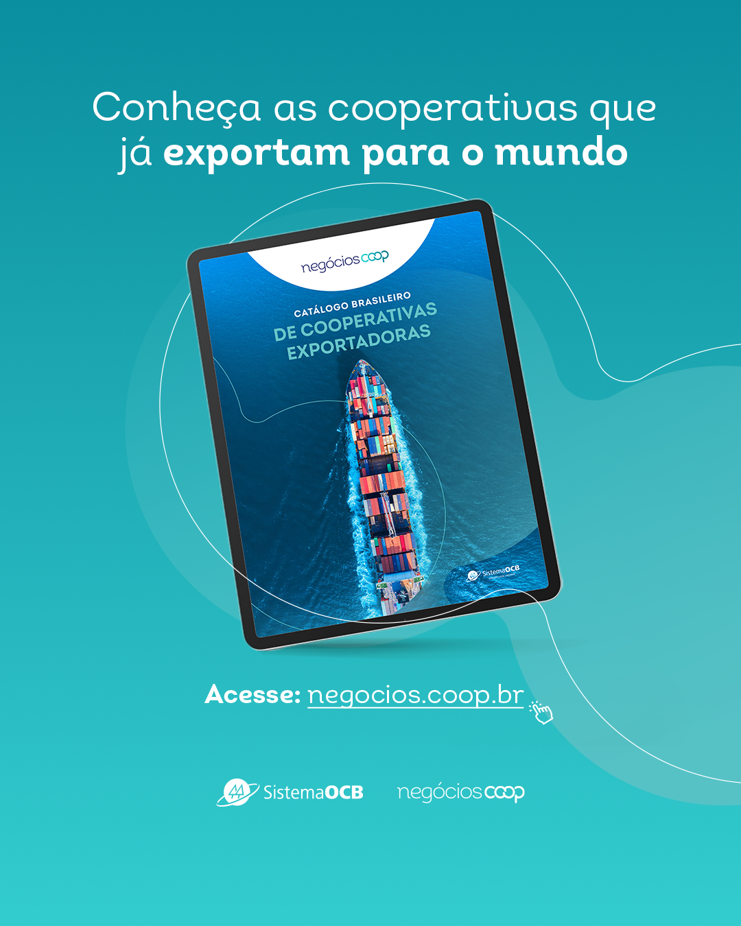 Brasil cooperativo abre portas para o mundo com catálogo de exportadoras 