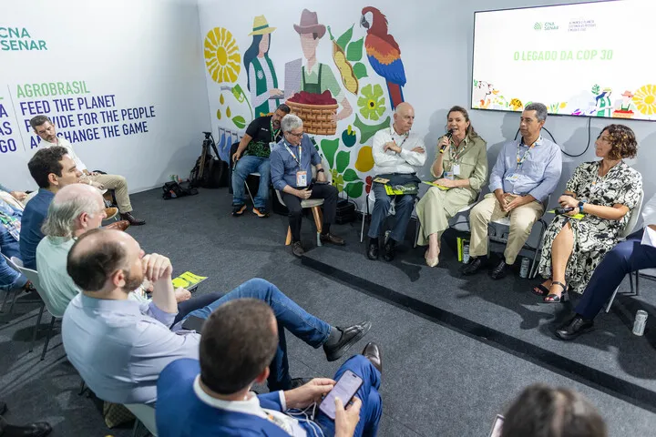 Tania Zanella: “COP30 deixa semente forte para o agro brasileiro”
