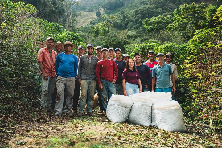 Do café à Amazônia, cooperativas promovem uso sustentável dos ecossistemas terrestres