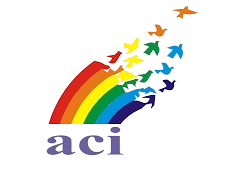 arco iris aci 568a5