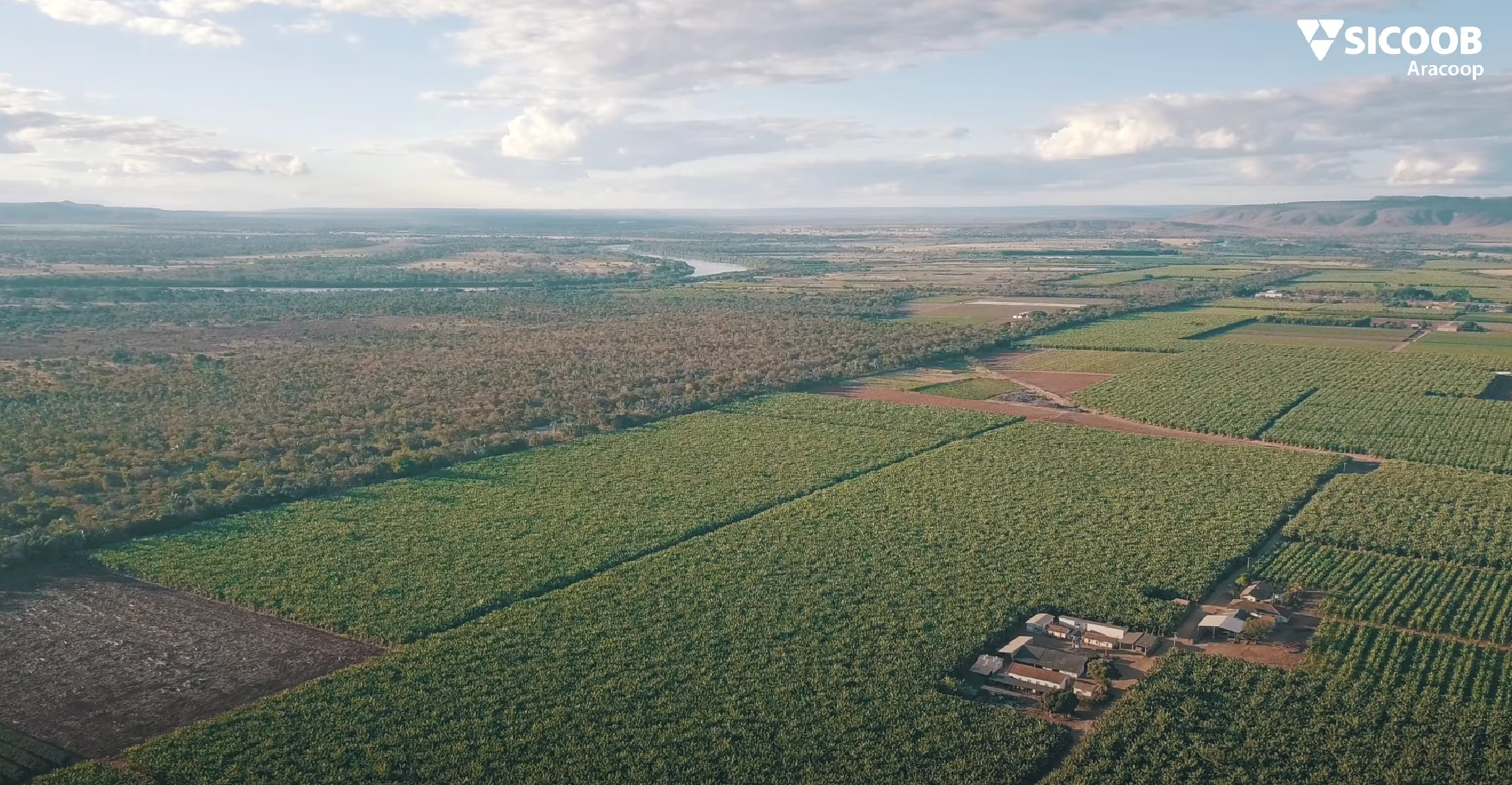 Sicoob Aracoop financia usina de energia fotovoltaica em Minas Gerais