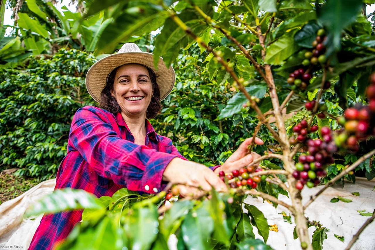 Mulheres da Coopfam se mobilizam para aumentar protagonismo feminino no campo