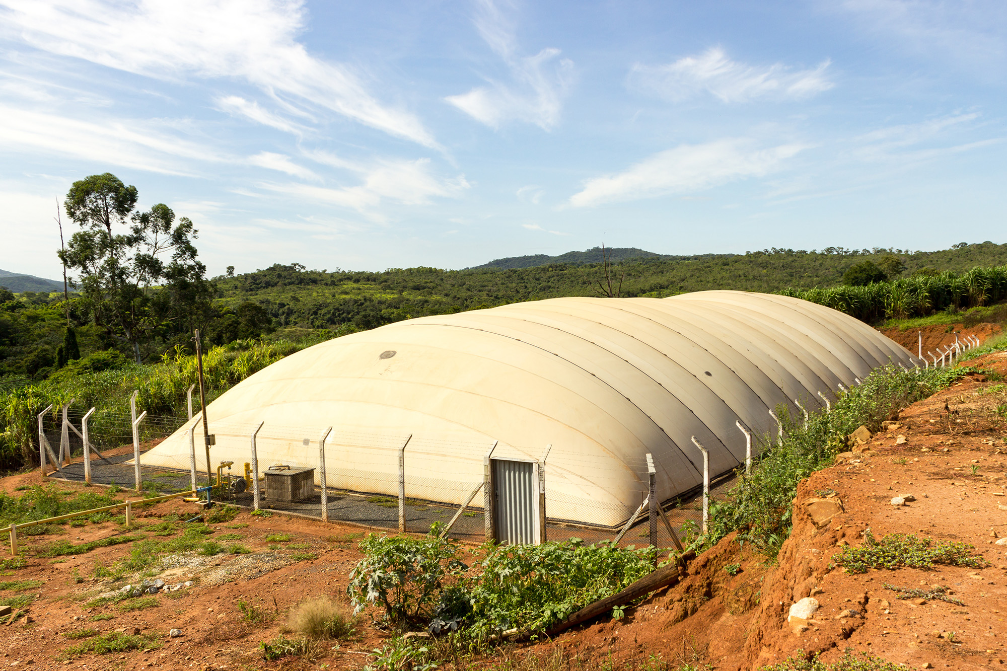 Transição energética torna a produção da Cogran mais limpa e verde