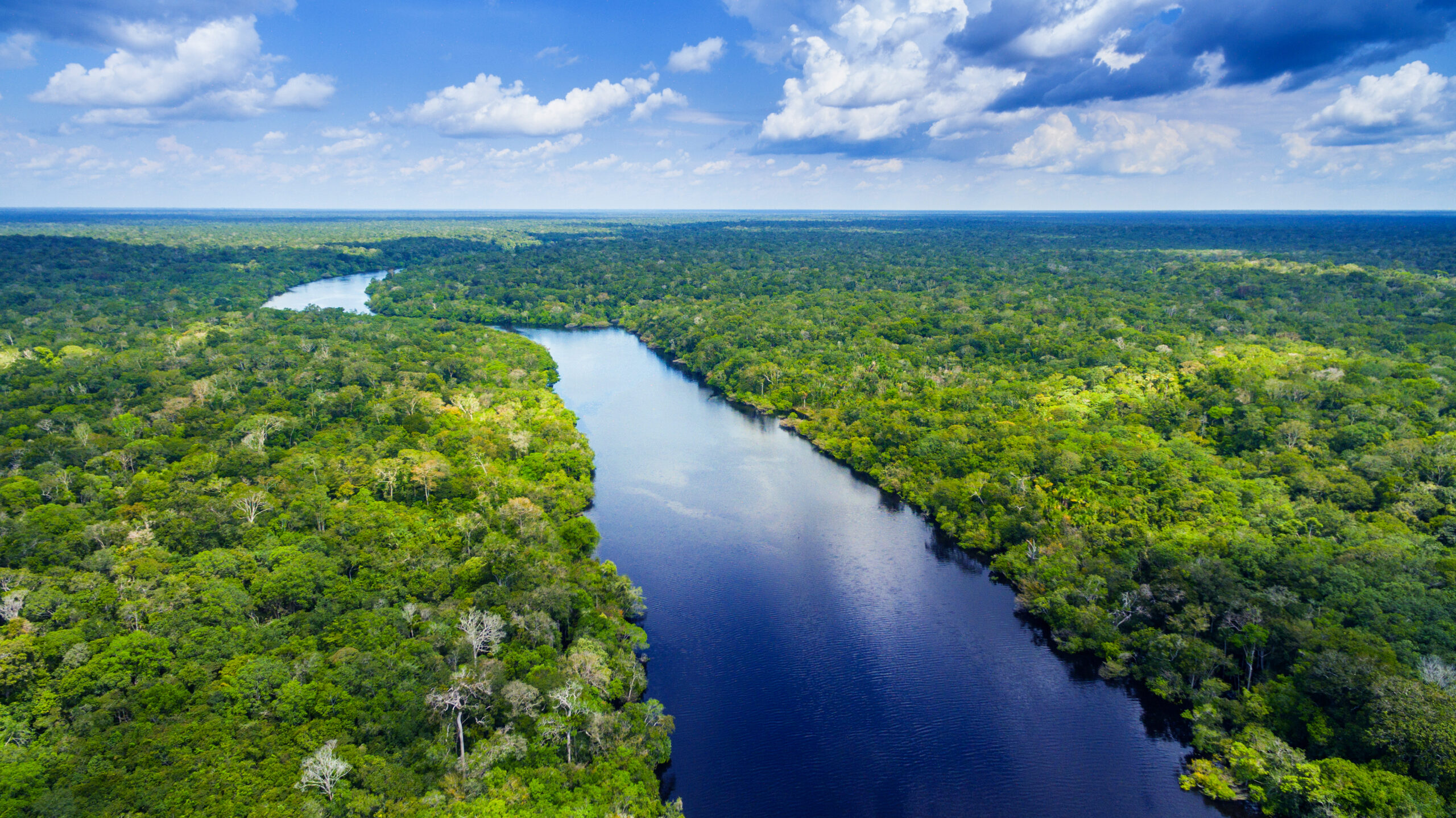 Troca de saberes na floresta