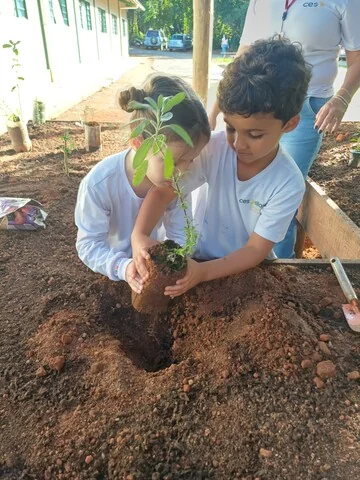 ces sao roque de minas 1f55f4a48824622c