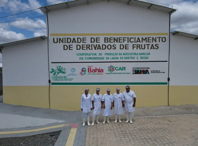 Autonomia e independência: por que o 4º princípio continua mais atual do que nunca
