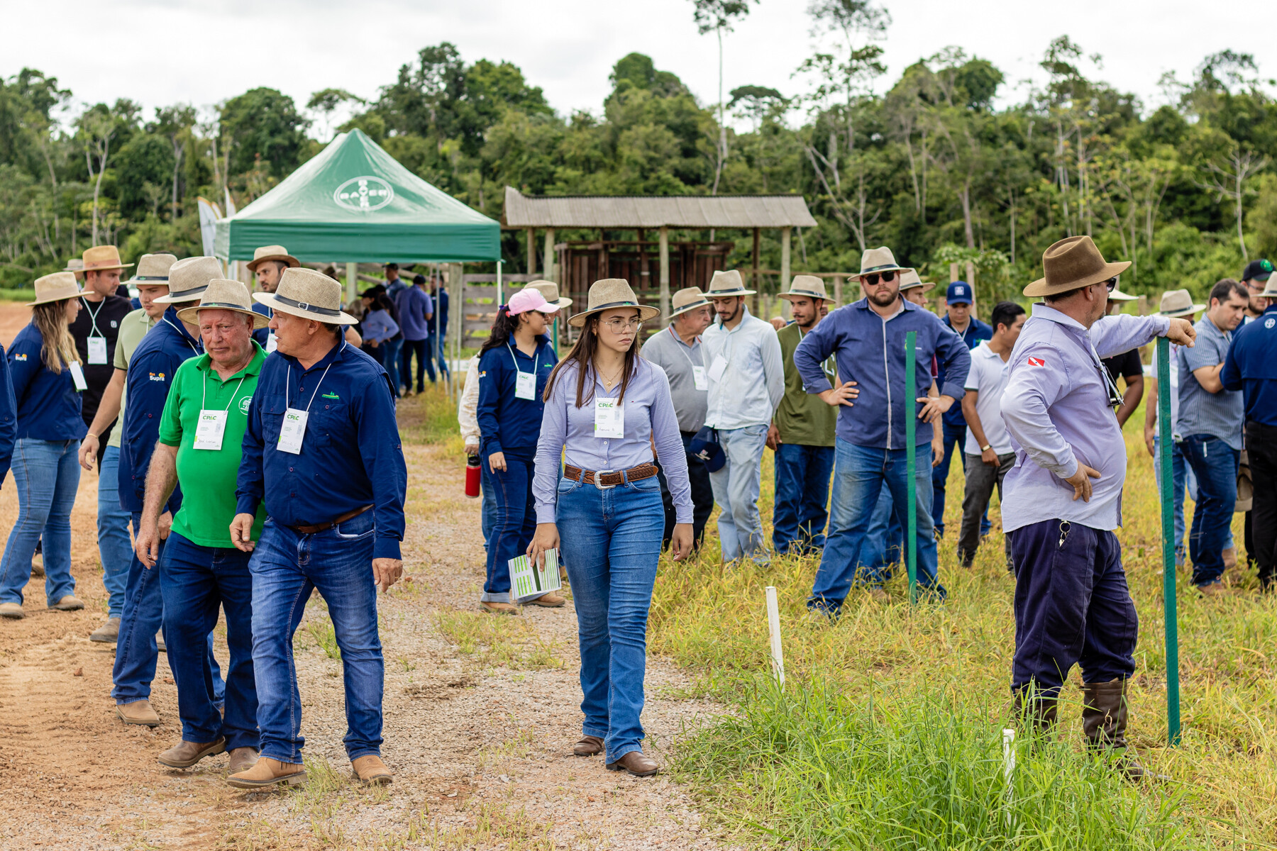 Coopernorte investe em pesquisa para gerar soluções inovadoras de adaptação e mitigação dos riscos climáticos na Amazônia