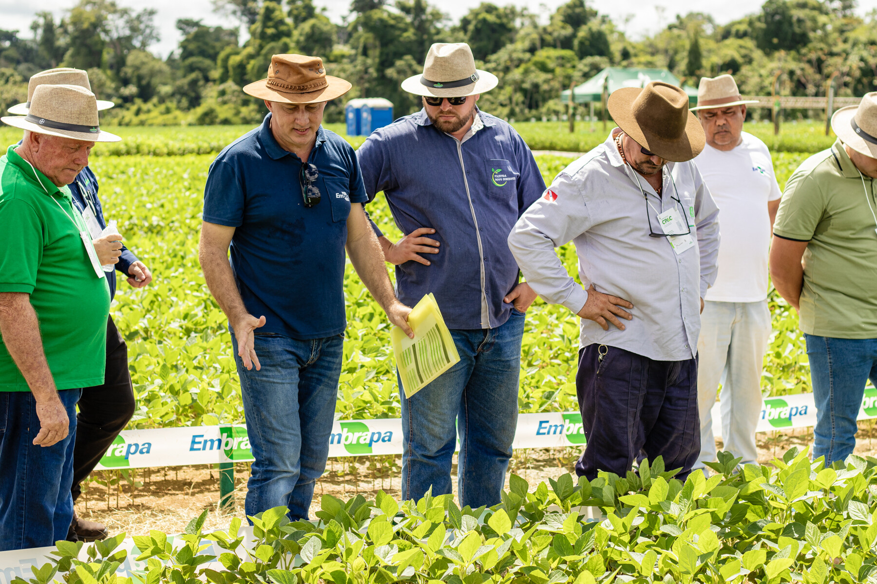 Parceria entre Coopernorte e Embrapa fortalece resiliência climática na agricultura amazônica