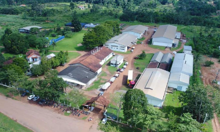 Na fronteira da Amazônia, Cooperativa RECA estimula a bioeconomia regenerativa