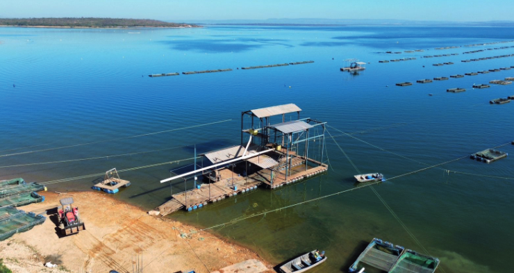 Sicoob Aracoop fortalece piscicultura com linhas de crédito e regularização ambiental