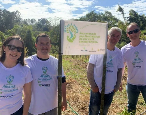 Sicoob Coopemata neutraliza emissões de carbono com reflorestamento e engajamento de cooperados