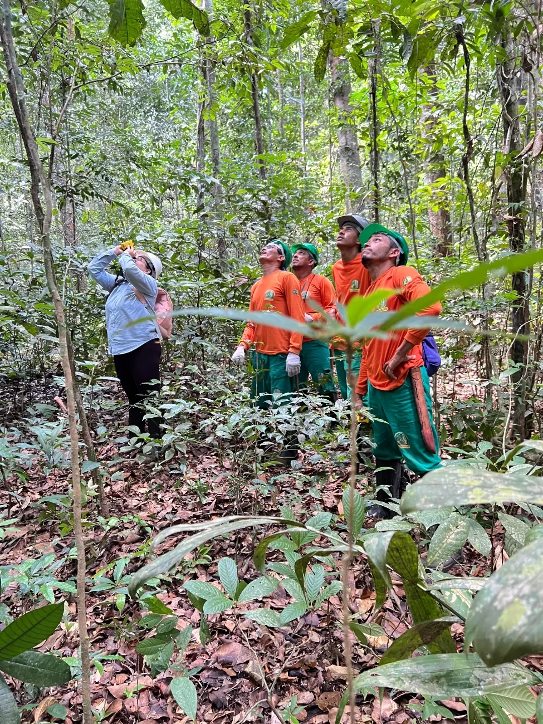 Coomflona protege a Amazônia com manejo florestal comunitário