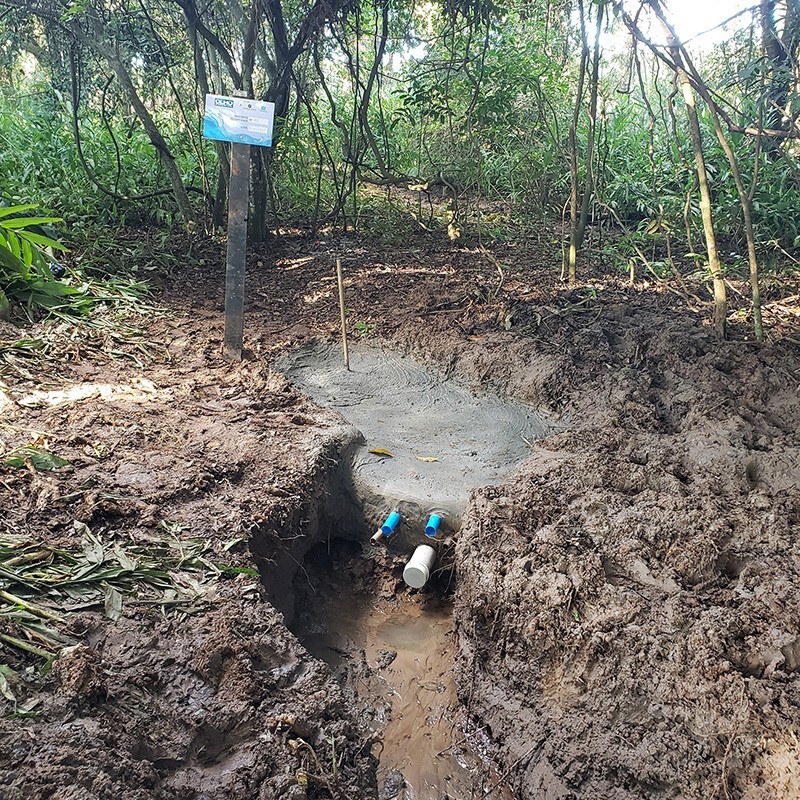 Coopercitrus e Credicitrus se unem para restaurar nascentes e garantir segurança hídrica