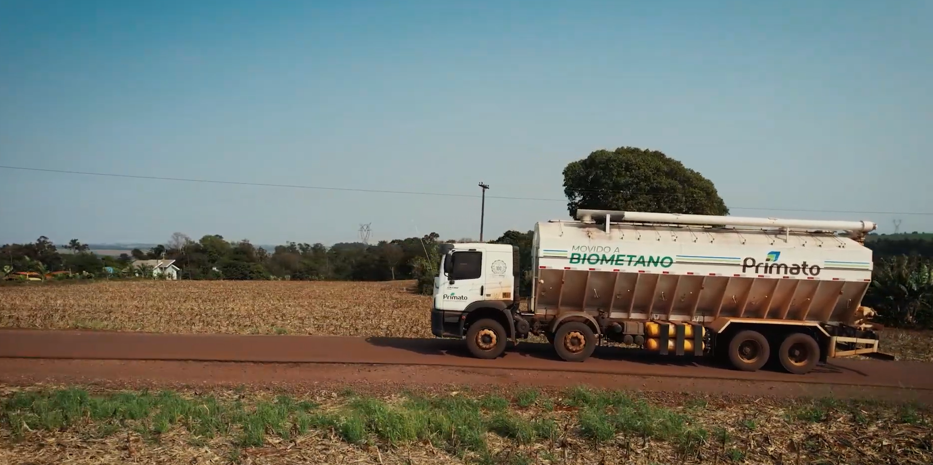 Primato transforma dejetos de suínos em energia limpa para sua frota