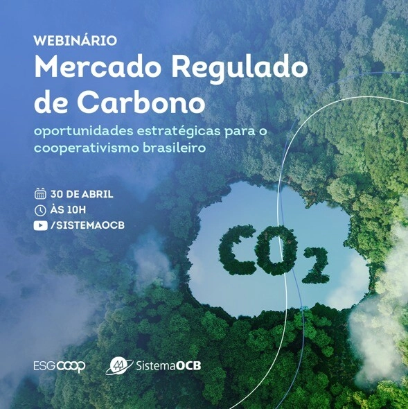 Mercado-Carbono