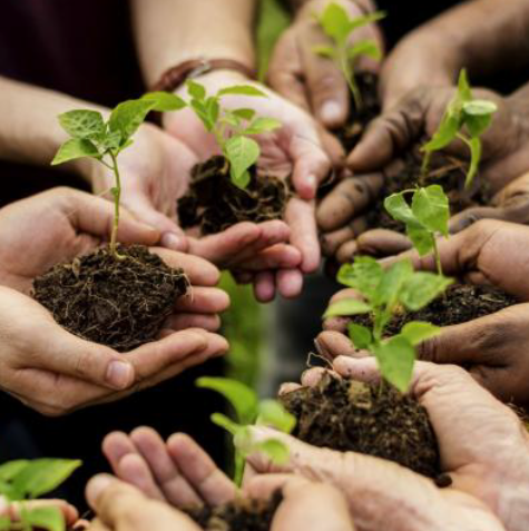 Licenciamento Ambiental