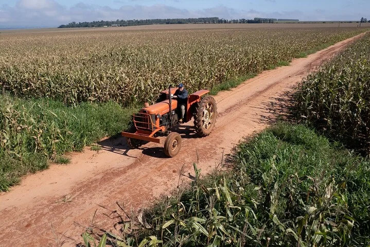 Nova lei moderniza seguro rural e amplia instrumentos de gestão de risco